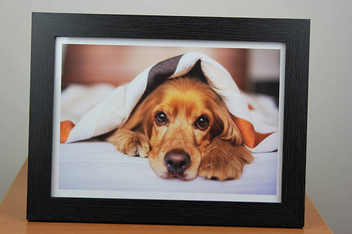 PPD Inkjet Heavyweight Photo Paper Glossy 64lb. 240gsm 10.9mil A4 PPD-8