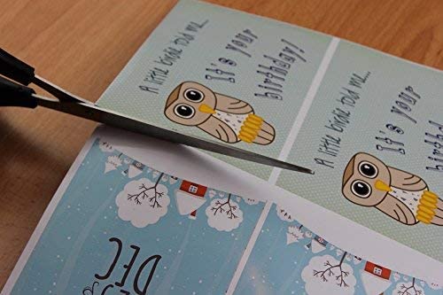 PPD Inkjet Photo Glossy Magnetic Paper A4 PPD-31