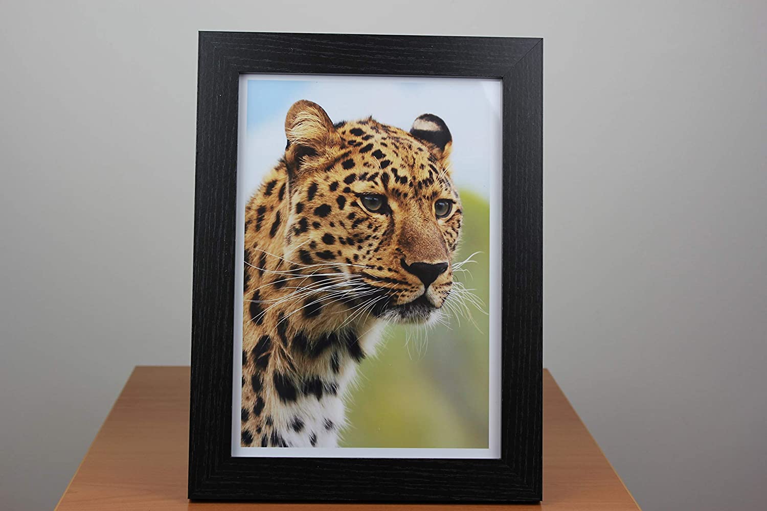 PPD Inkjet 8x10" Gloss Photo Paper Super Premium 280g PPD-94