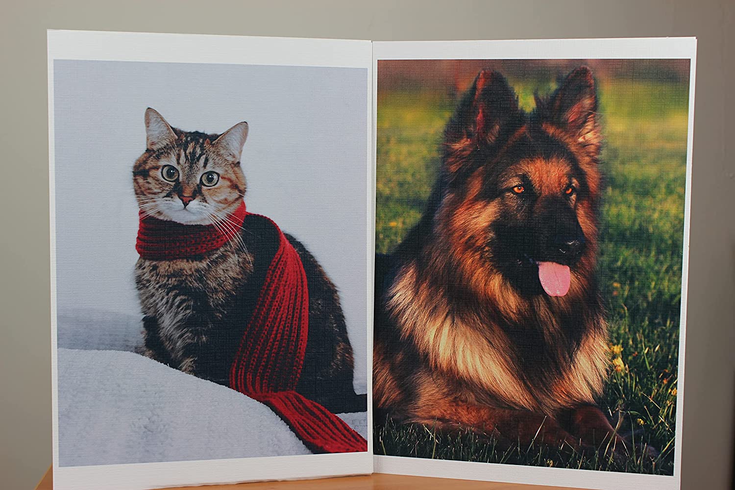 PPD A4 Inkjet 260gsm Gloss Canvas Textured Photo Paper - Premium Quality with Amazing Effects Due to Unusual Surface Structure PPD-108