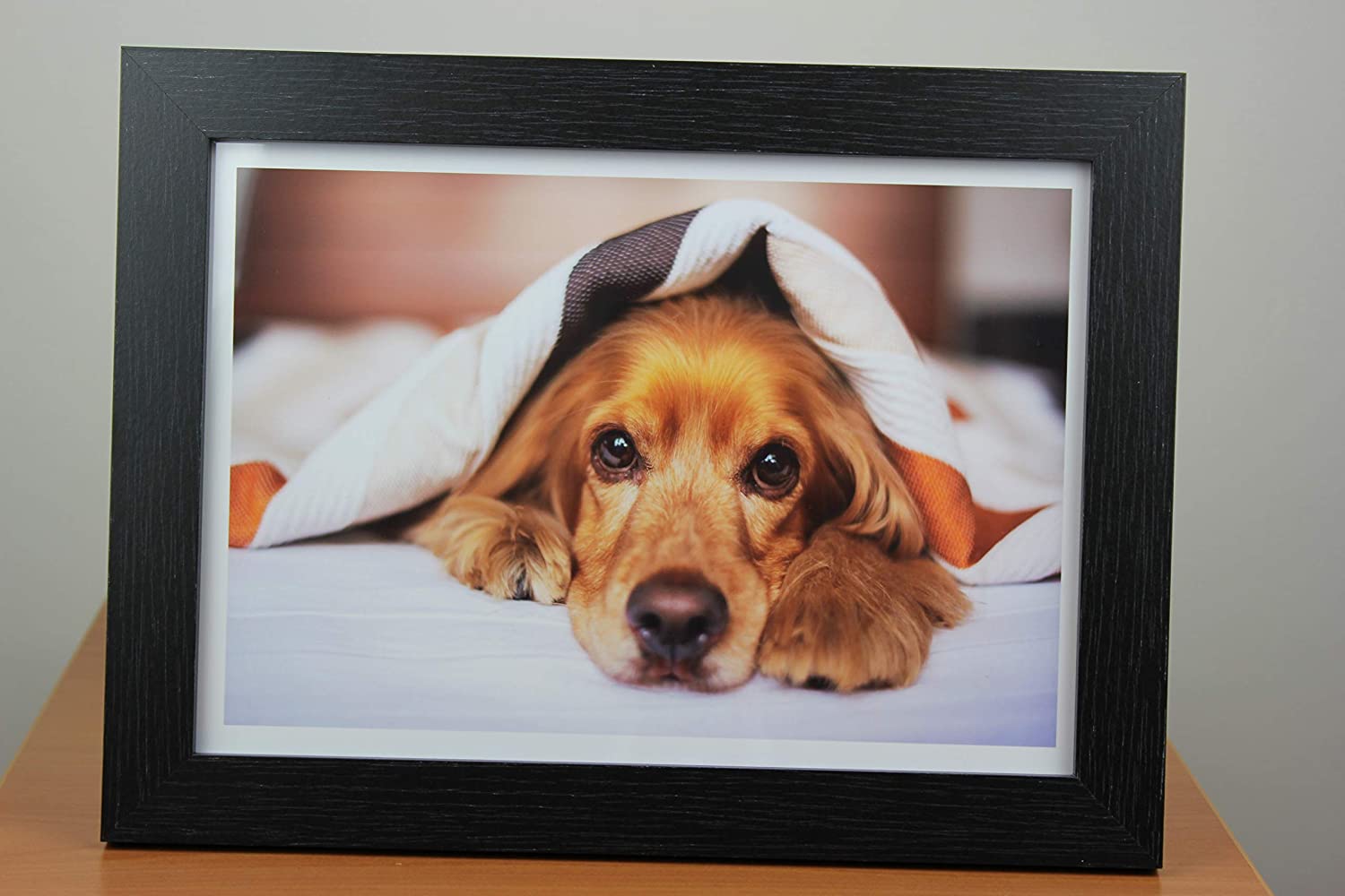 PPD Inkjet 200 GSM PE Photo Paper Glossy Microporous A4 PPD-144