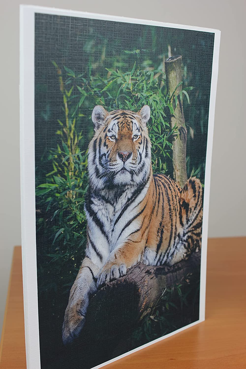 PPD A4 Inkjet 260gsm Gloss Canvas Textured Photo Paper - Premium Quality with Amazing Effects Due to Unusual Surface Structure PPD-108