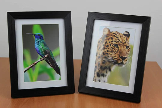 PPD 6x4 Inkjet High Gloss Photo Paper 280gsm Heavyweight Instant Dry and Water-Resistant PPD-20