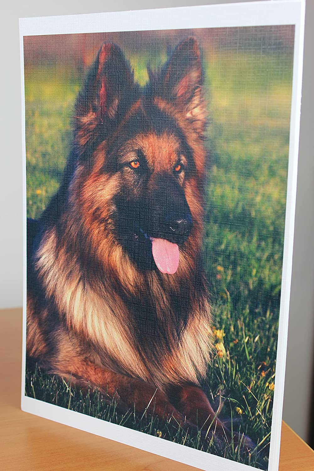 PPD A4 Inkjet 260gsm Gloss Canvas Textured Photo Paper - Premium Quality with Amazing Effects Due to Unusual Surface Structure PPD-108